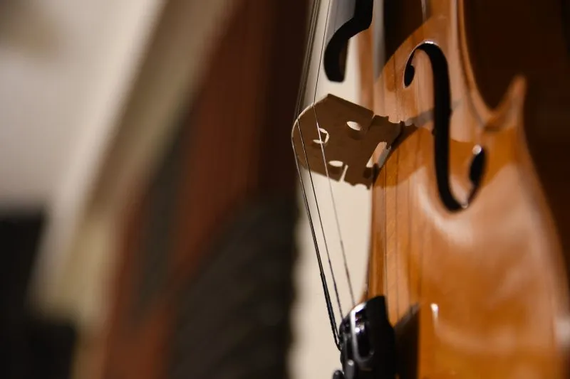 Wiolonczela - jak wybrać instrument smyczkowy nie tylko dla profesjonalistów